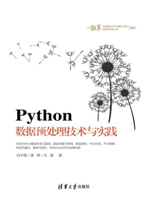 cover image of Python数据预处理技术与实践